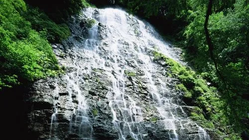 高端高端智能系统